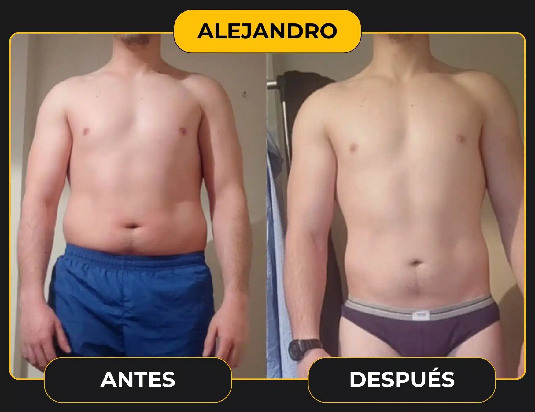 ALEJANDRO plantilla cambio web