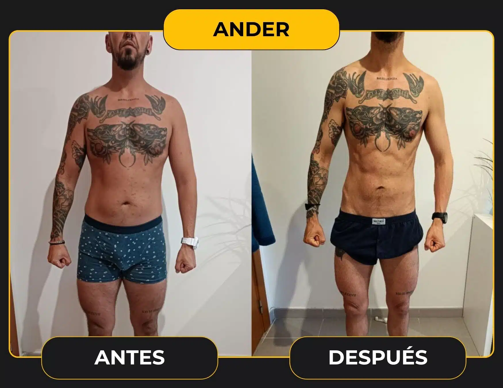 ANDER plantilla cambio web