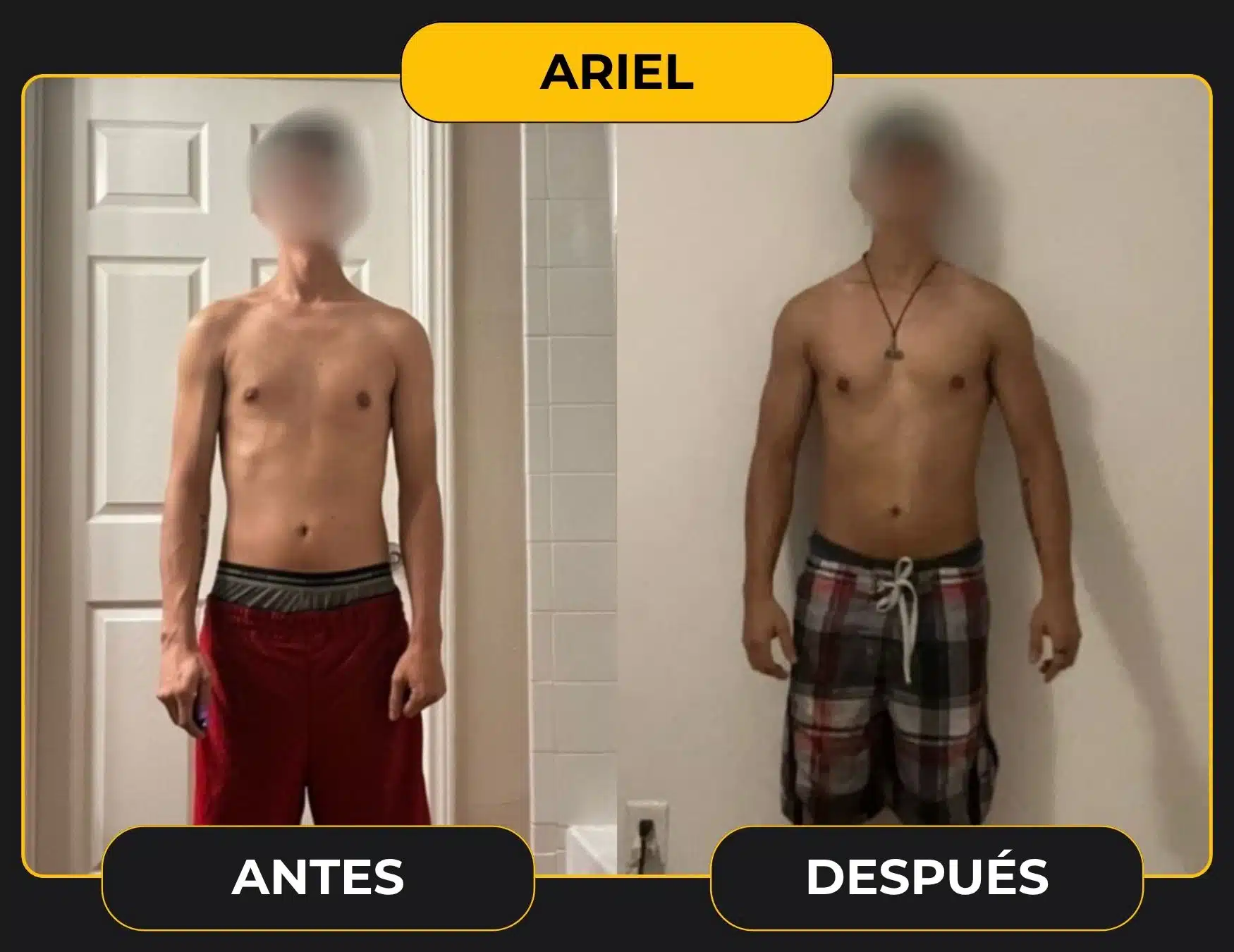 ARIEL plantilla cambio web