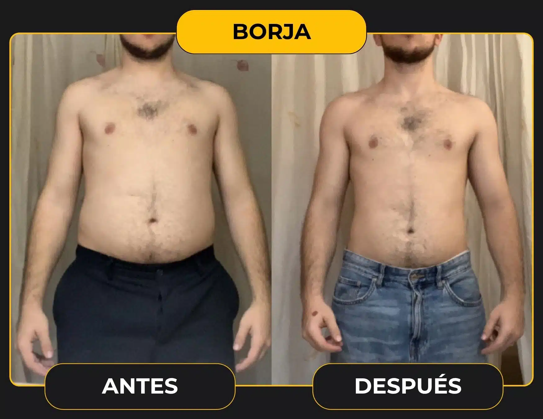 BORJA plantilla cambio web