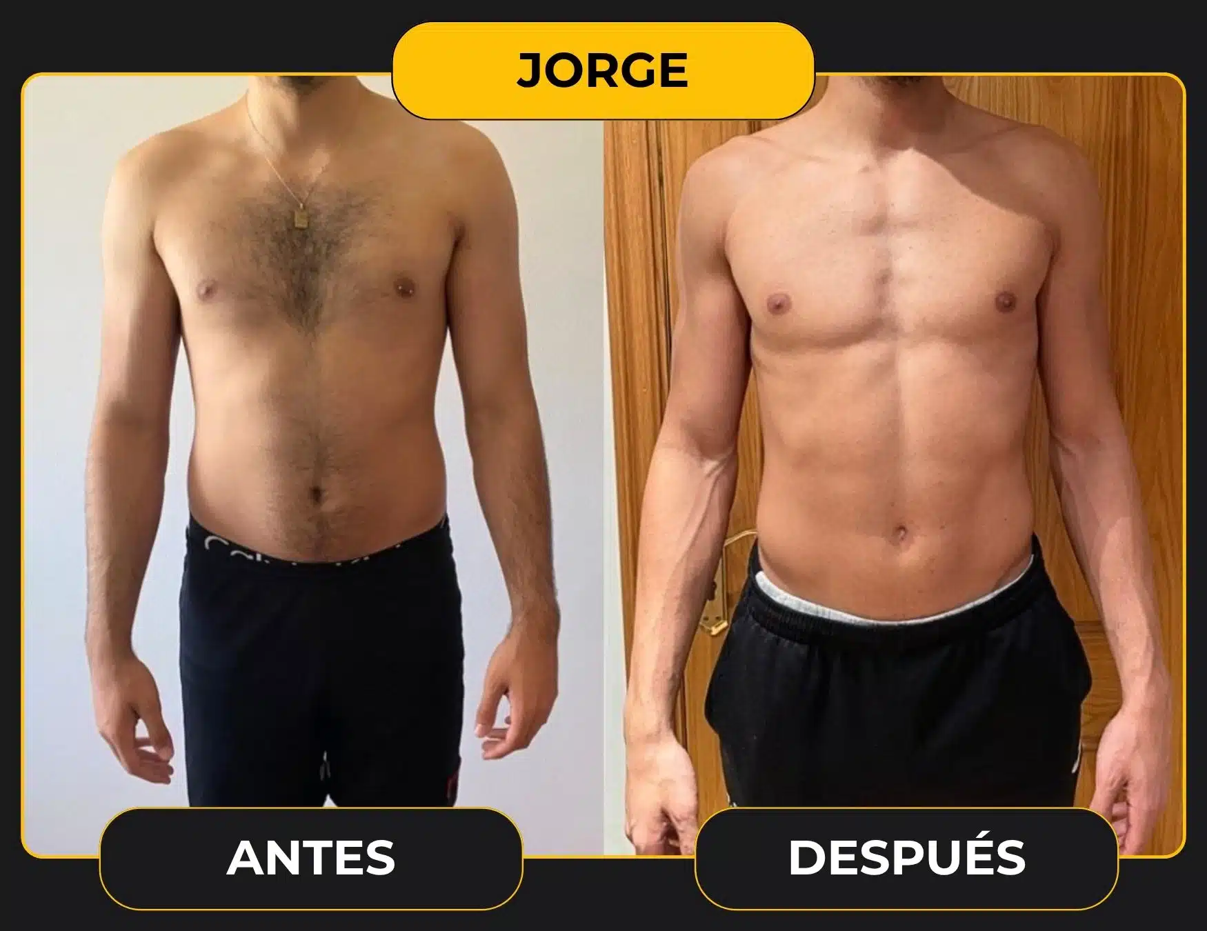 JORGE plantilla cambio web