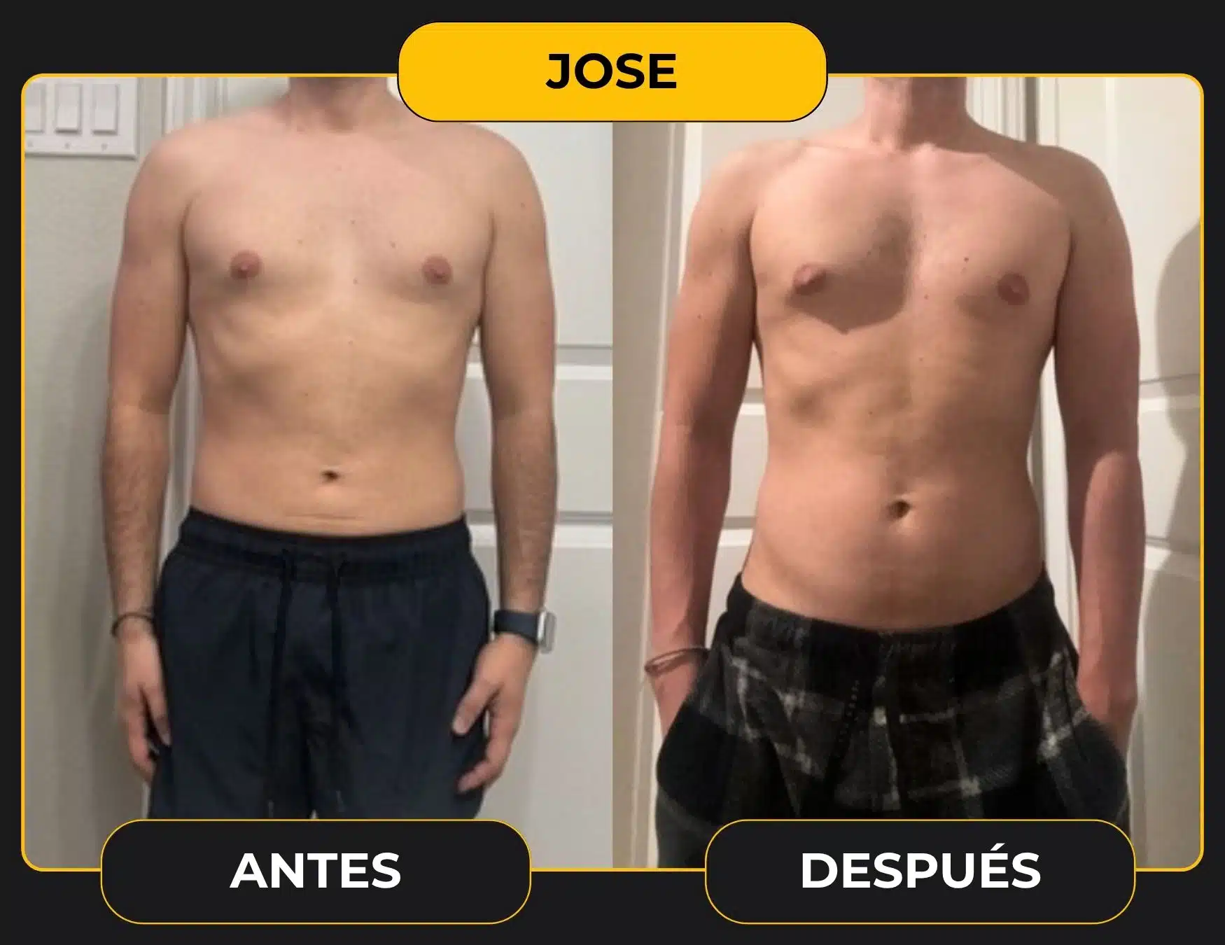 JOSE plantilla cambio web