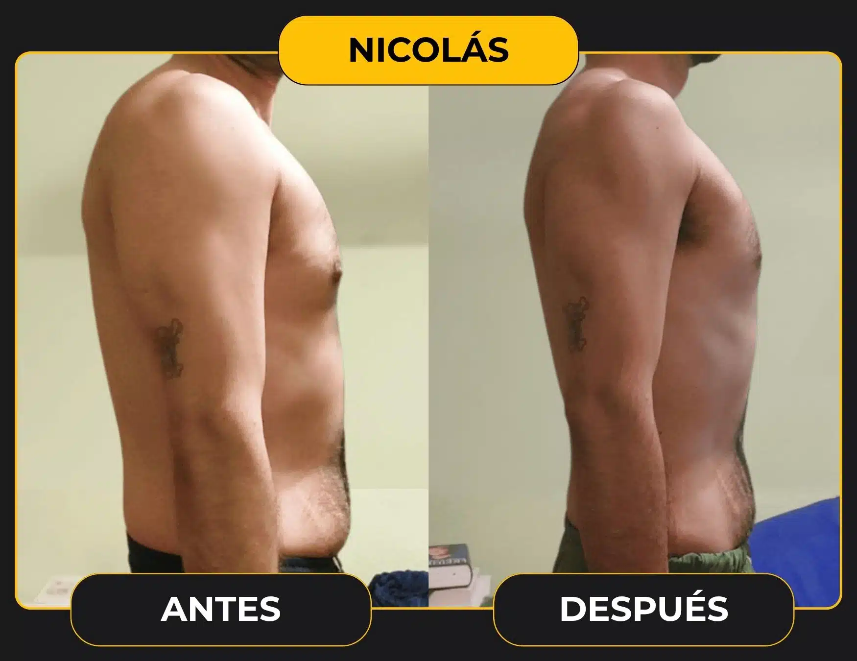 LEMUS plantilla cambio web