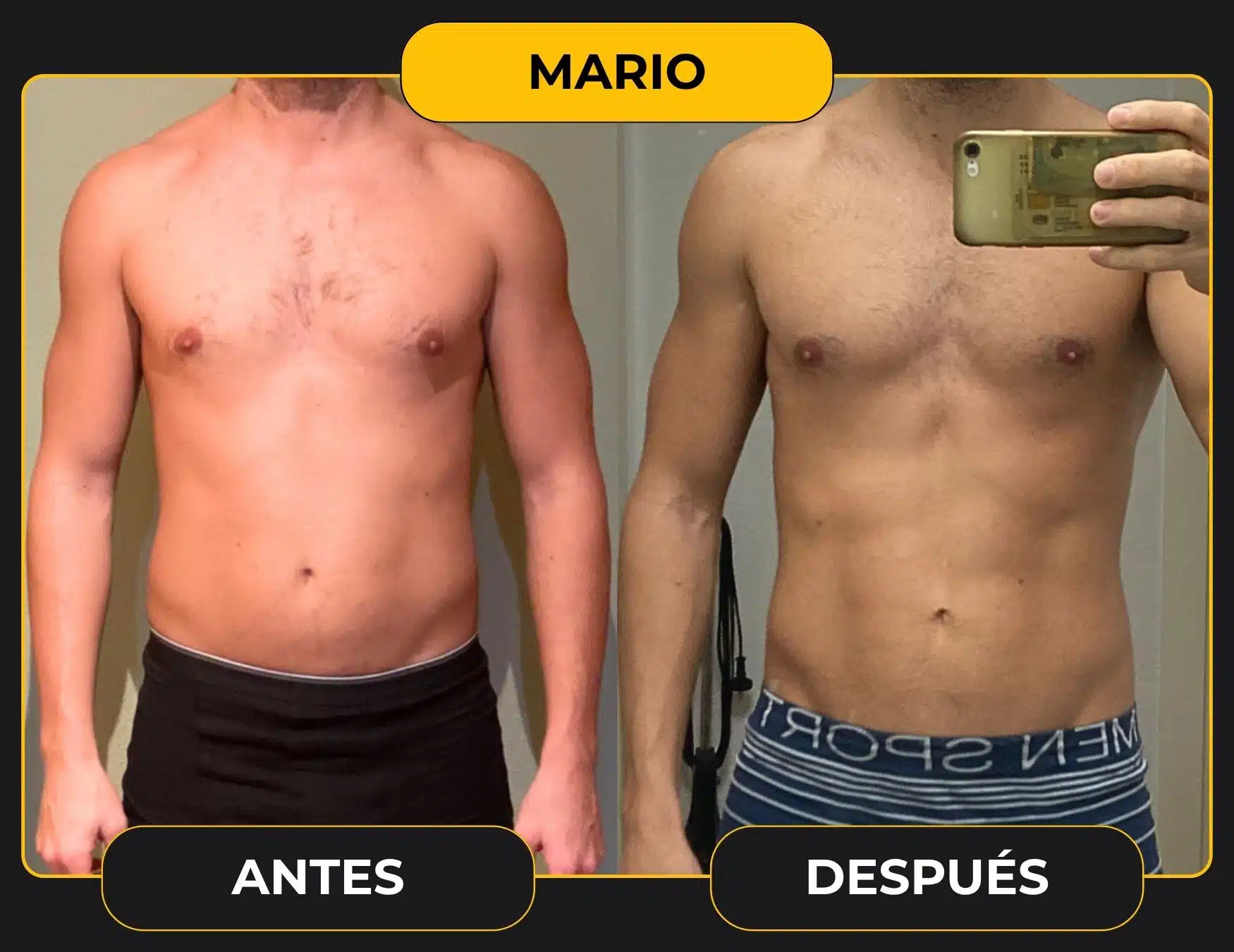 MARIO plantilla cambio web