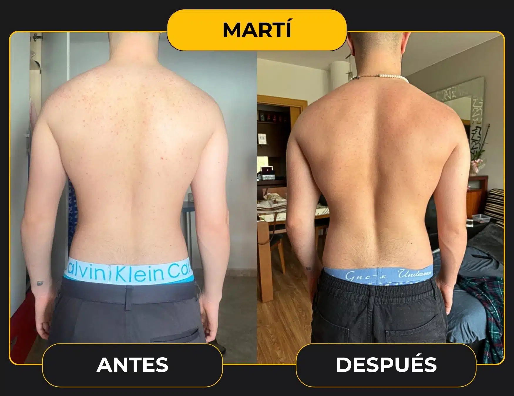 MARTÍ plantilla cambio web