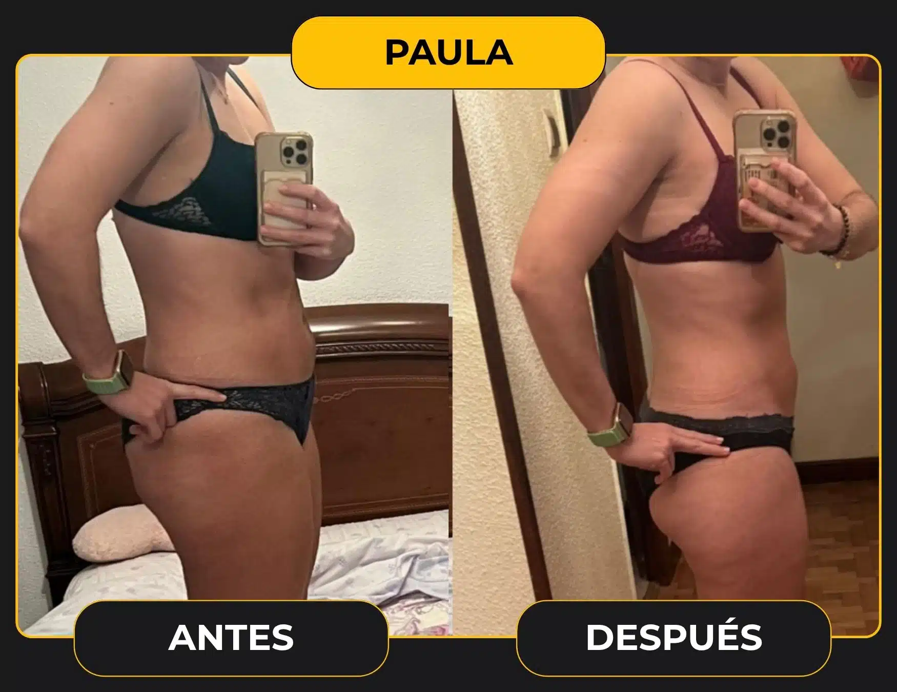 PAULA plantilla cambio web