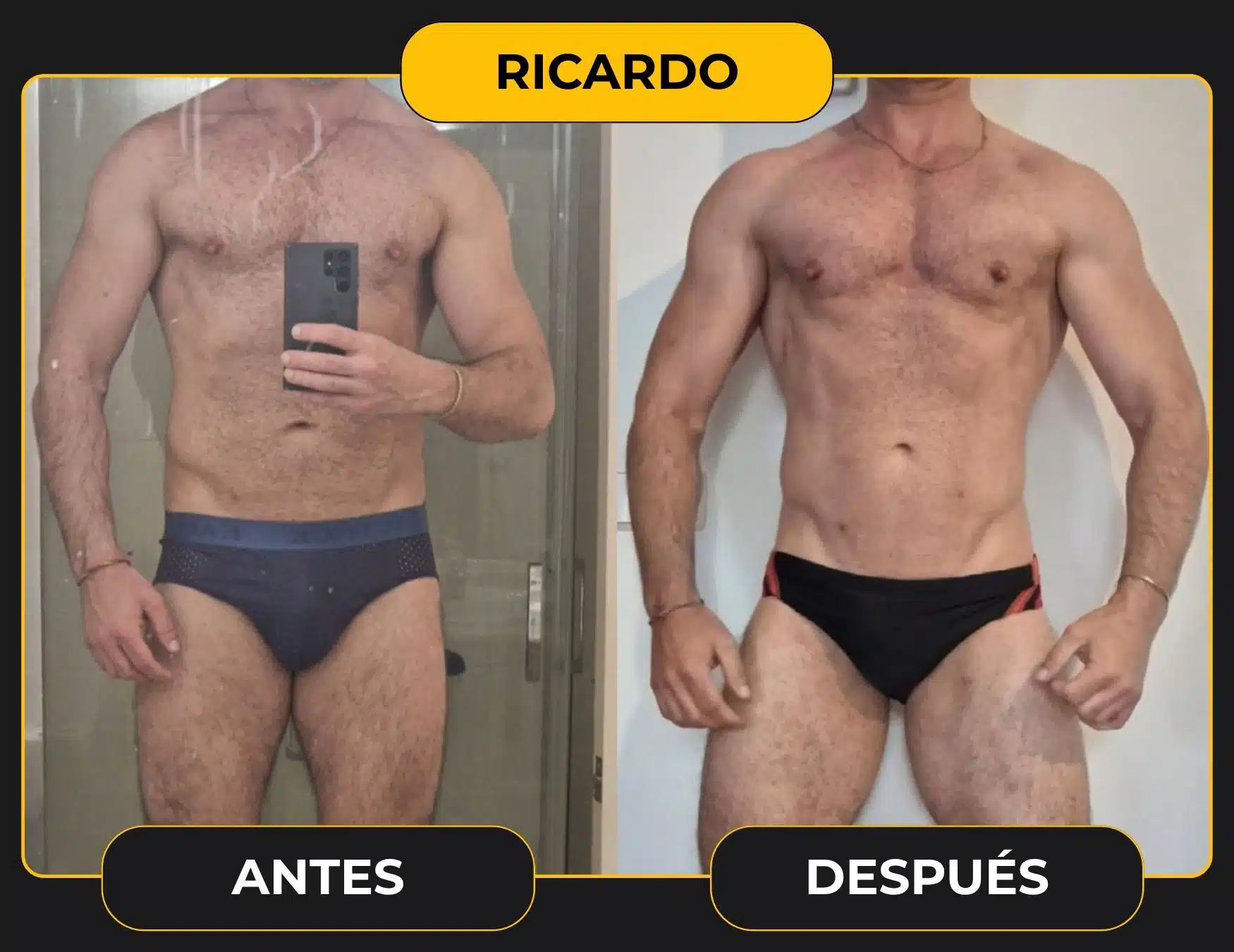 RICARDO plantilla cambio web