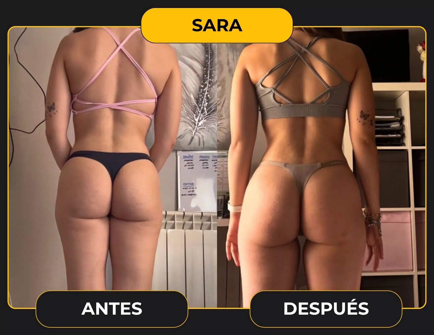 SARA plantilla cambio web