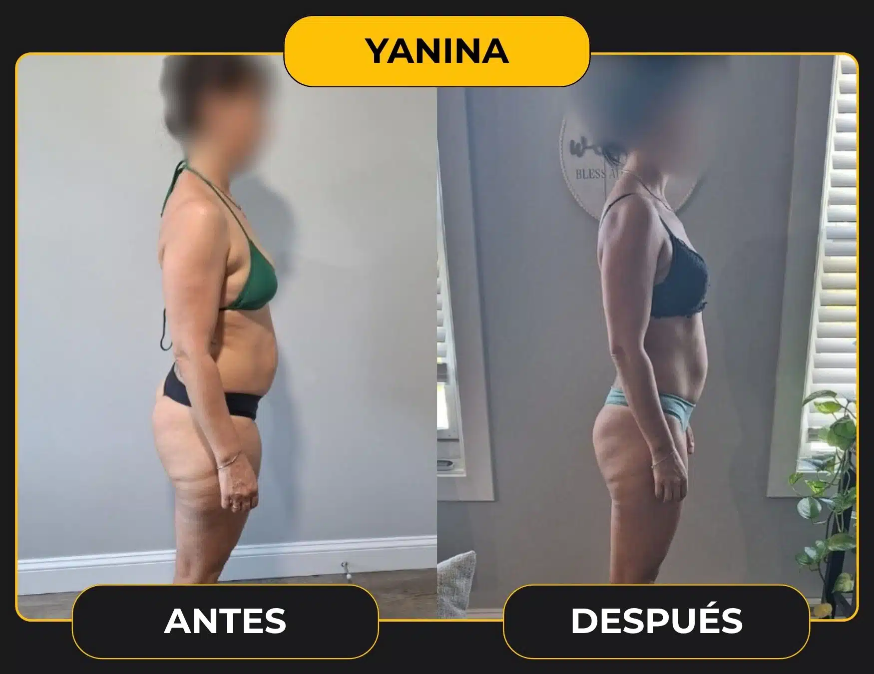 YANINA plantilla cambio web